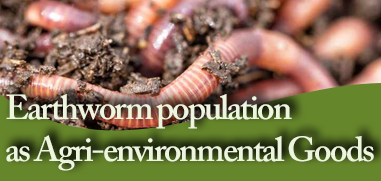 Earthworm population as Agri-environmental Goods
