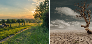Climate change adaptation is key to the future of European agriculture