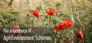 The importance of Agri-Environment Schemes