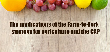 The implications of the Farm-to-Fork strategy for agriculture and the CAP