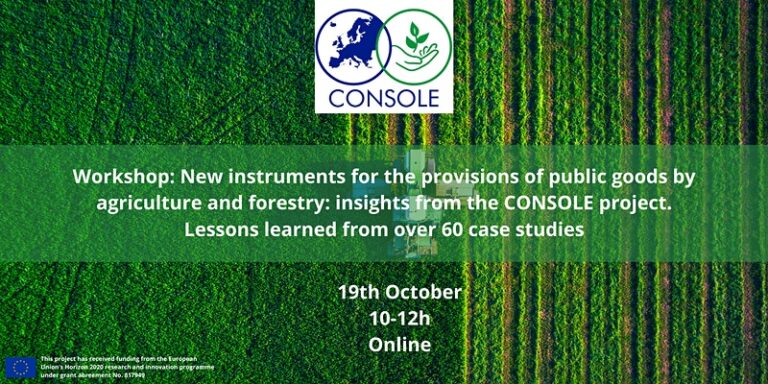 Workshop: Insights and lessons learned from CONSOLE case studies