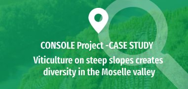 Viticulture on steep slopes creates diversity in the Moselle valley