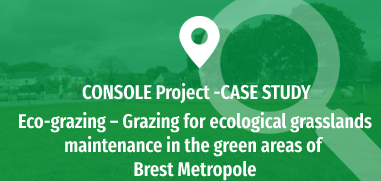 Eco-grazing - Grazing for ecological grasslands