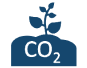 Climate regulation - carbon storage