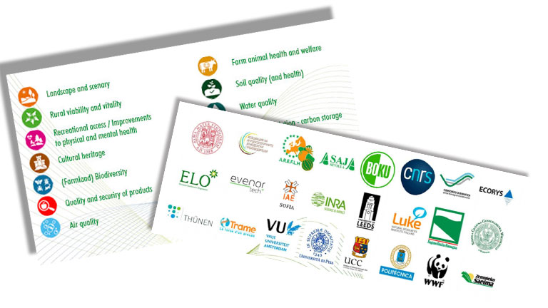 Report on European in-depth case studies