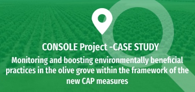 Monitoring and boosting environmentally beneficial practices in the olive grove within the framework of the new CAP measures