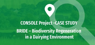 BRIDE – Biodiversity Regeneration in a Dairying Environment