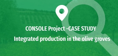 Integrated production in the olive groves