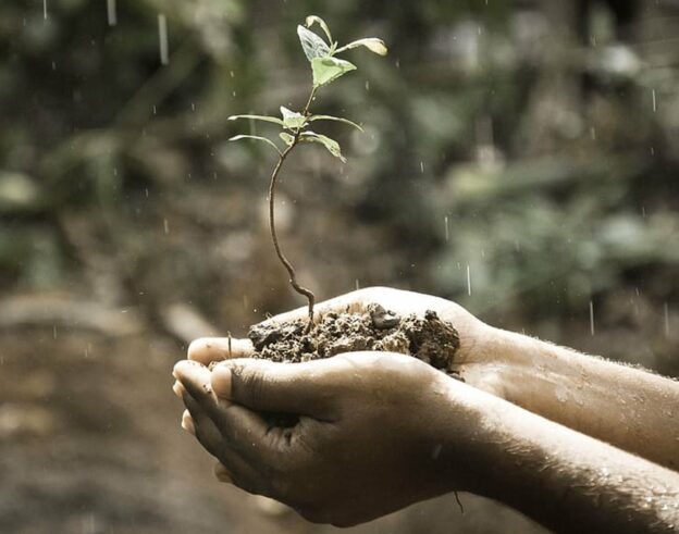 Europe runs out of agricultural land and is at the mercy of desertification