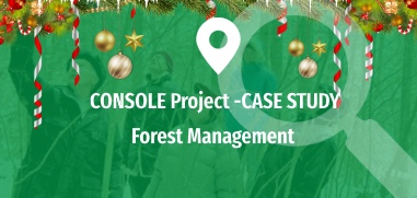 Forest Management