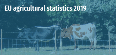 EU agricultural statistics 2019
