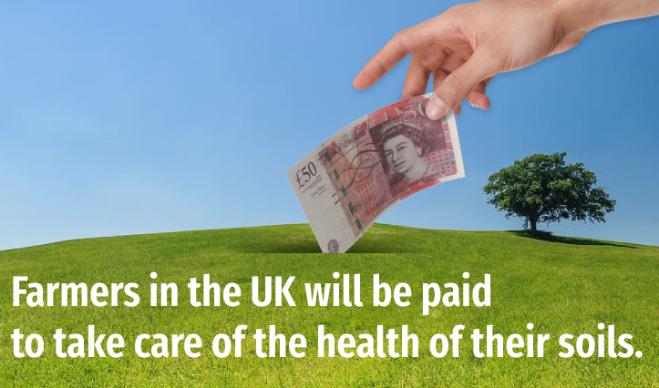 Farmers in the UK will be paid to take care of the health of their soils.