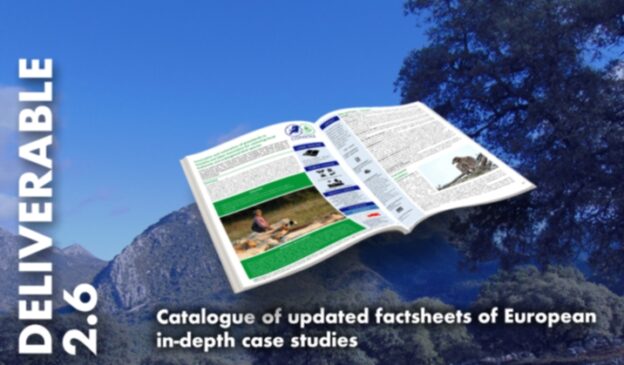 Catalogue of updated factsheets of European in-depth case studies