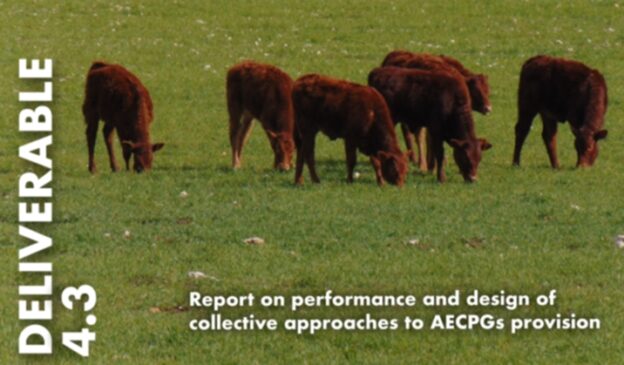 Report on performance and design of collective approaches to AECPGs provision