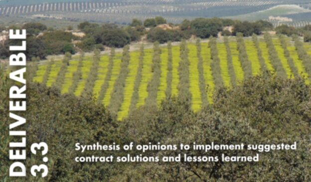Synthesis of opinions to implement suggested contract solutions and lessons learned